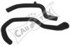 CAUTEX 026797 Radiator Hose